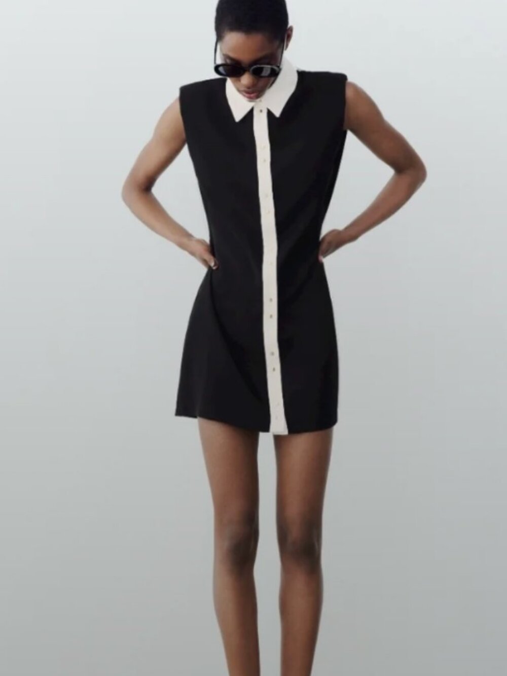 Zara Black and White Collared Dress